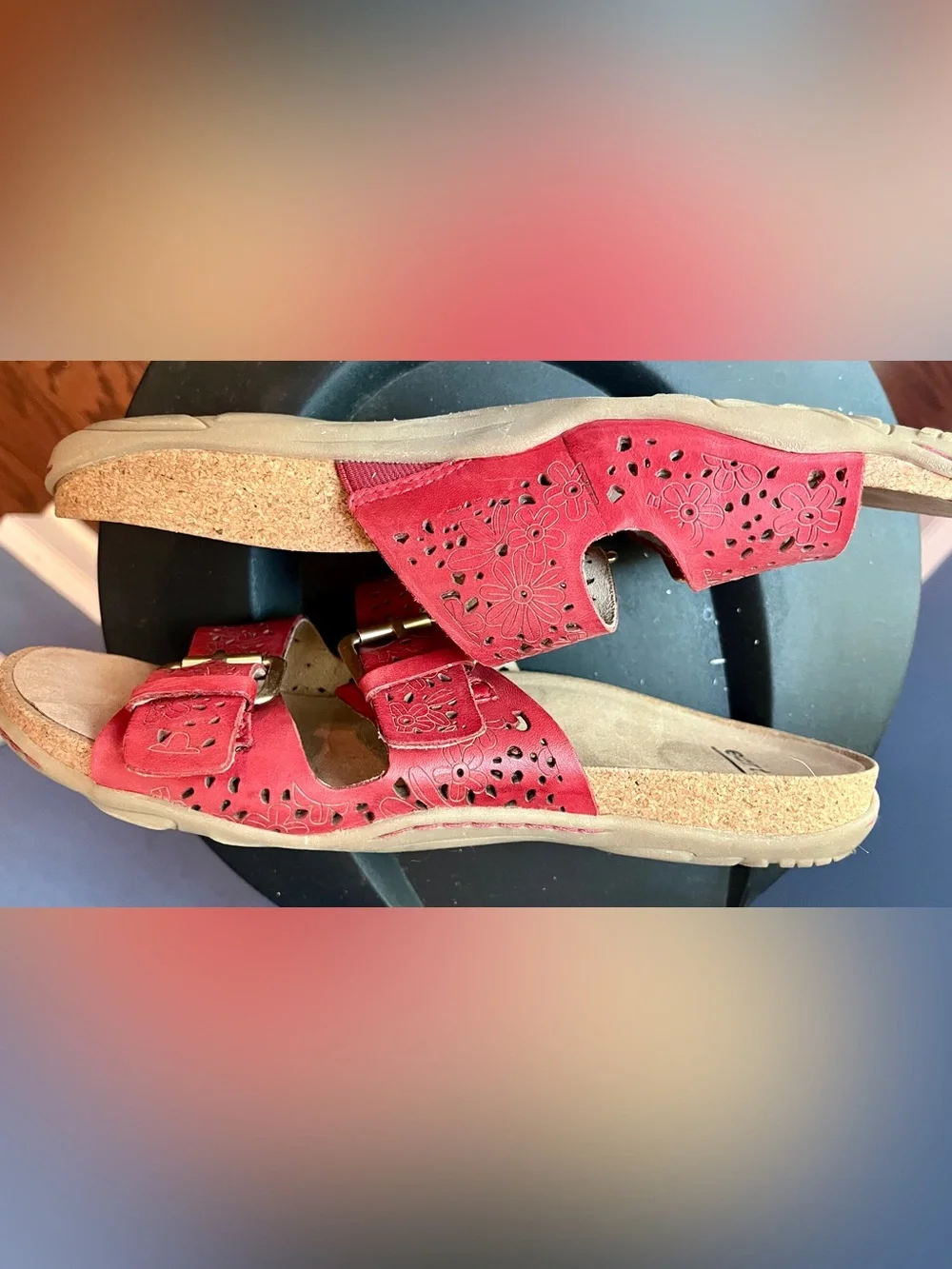Earth retail $65